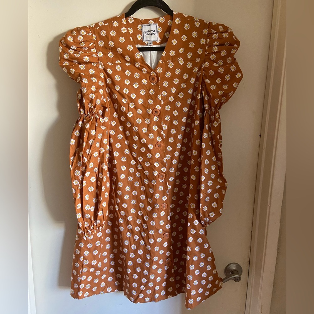 COPY - AUTUMN ADEIGBO DrRESS SZ 4